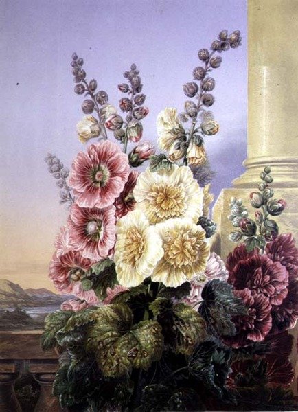 Hollyhocks (színes litó) alkotó: George Baxter