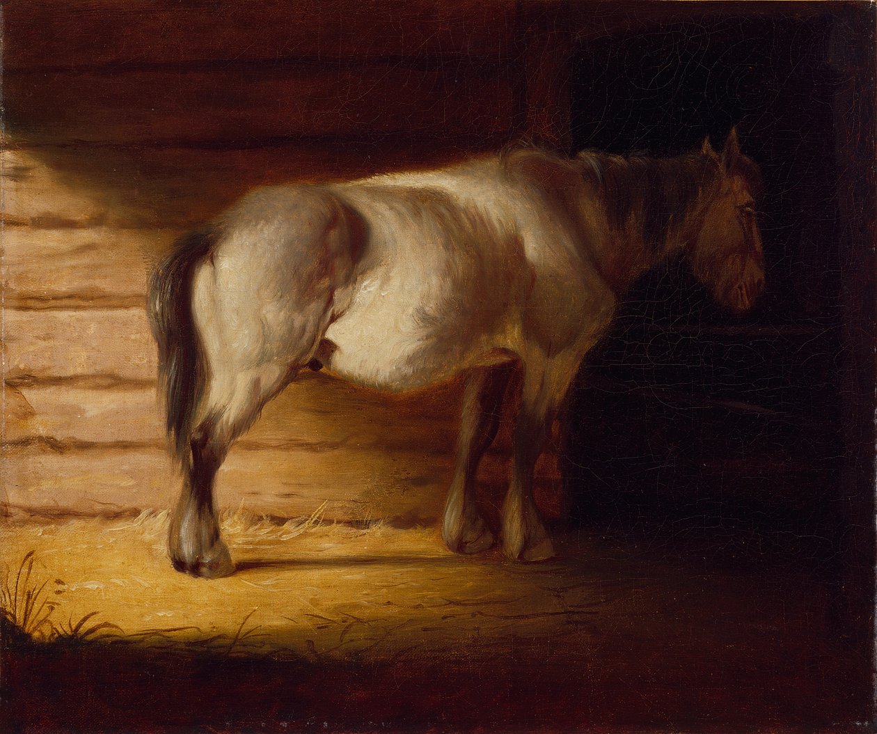 Régi mezei ló, 1856 (olaj, vászon) alkotó: George Caleb Bingham