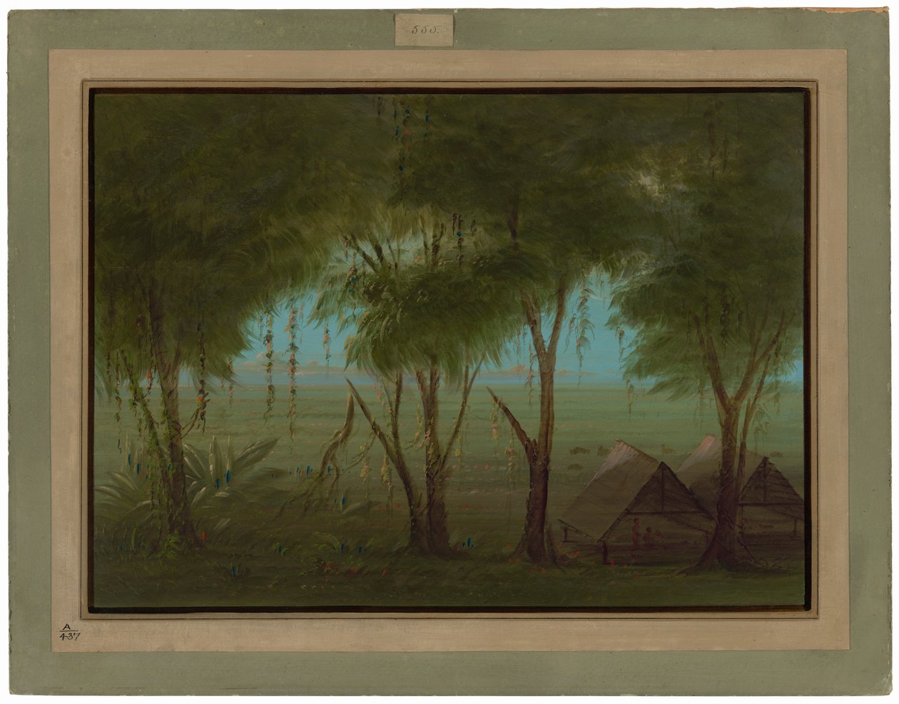 Egy connibo falu alkotó: George Catlin