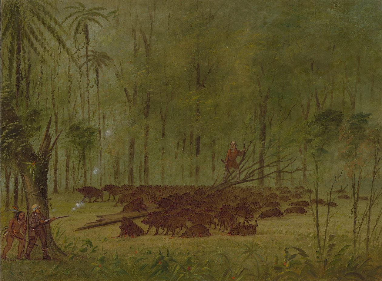 Harc pekásokkal – Karib-szigetek, 18541869. alkotó: George Catlin