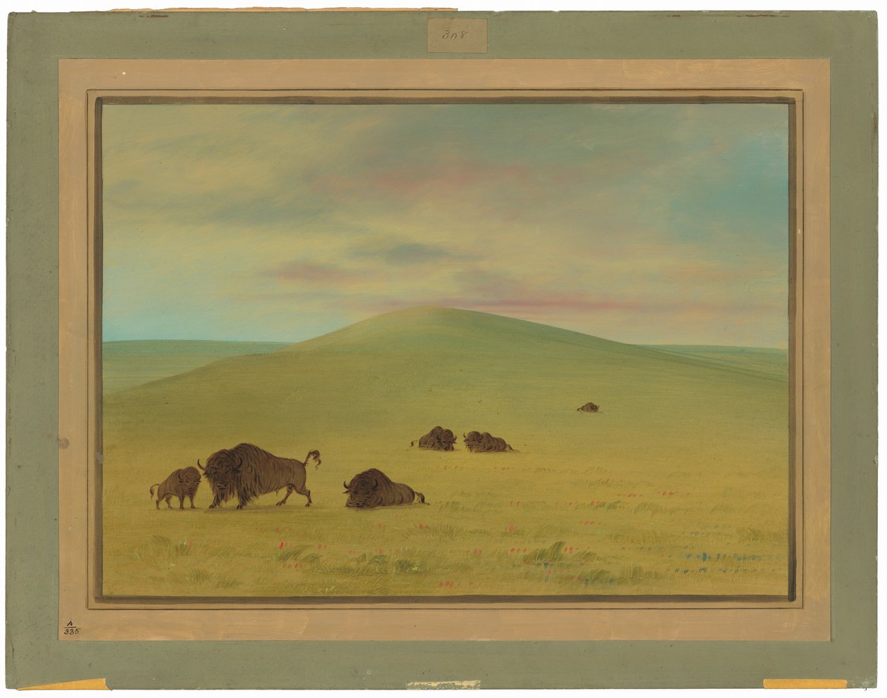 Amerikai legelő – a Platte prérijei alkotó: George Catlin