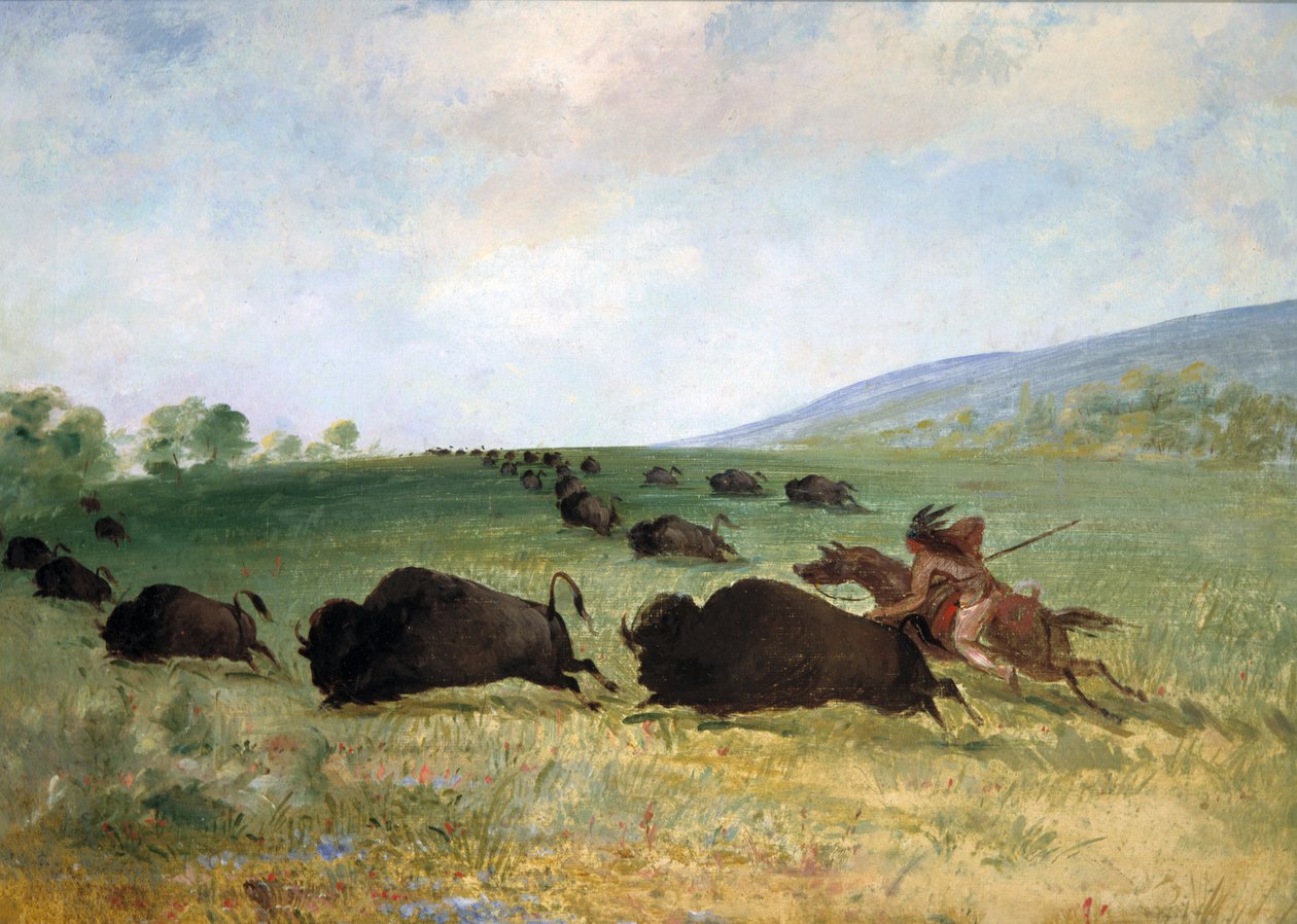 Egy Osage indián felszúr egy bölényt alkotó: George Catlin