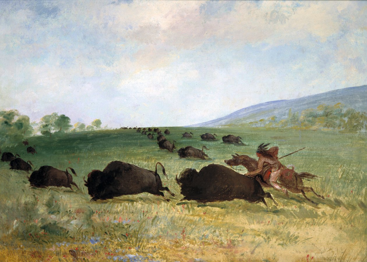 Egy osage indián, aki bivalyt szúr, 1846-1848. alkotó: George Catlin