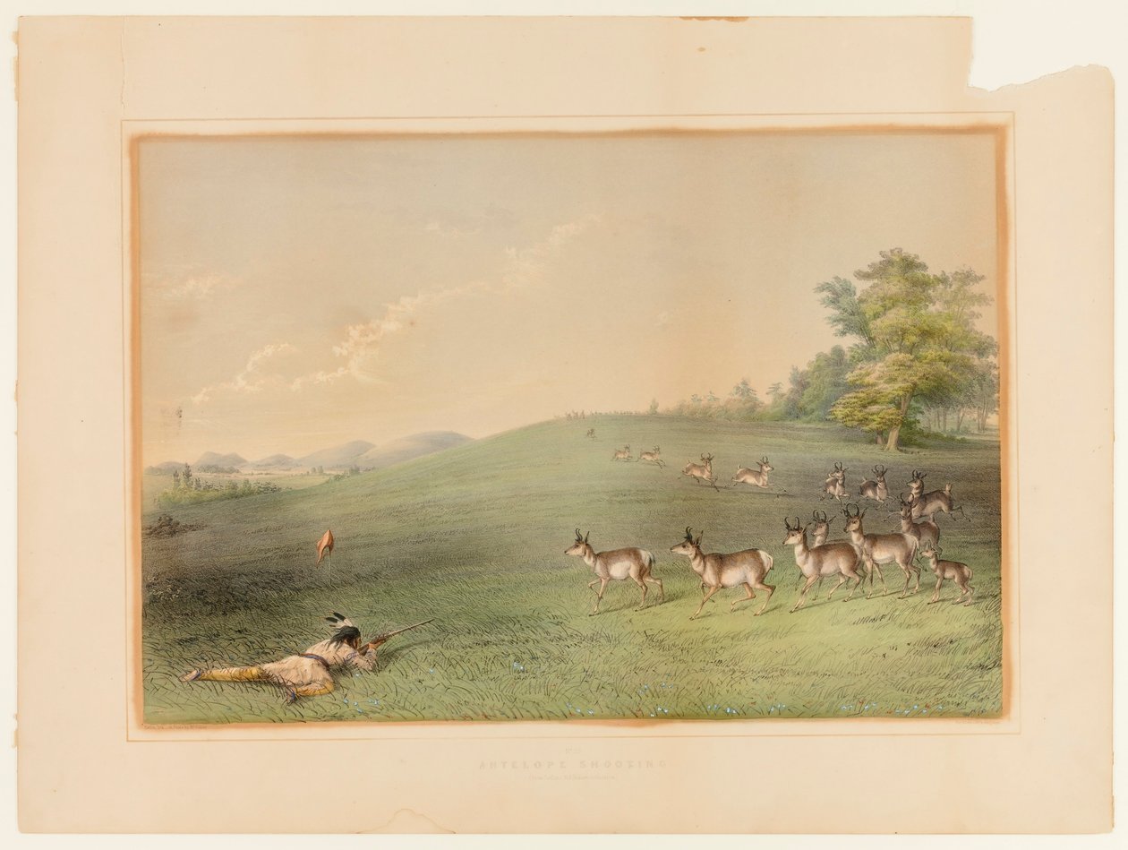 Antilop lövészet--n° 20 alkotó: George Catlin