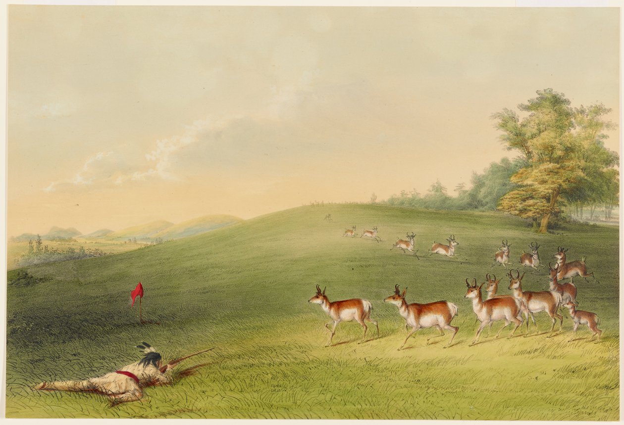 Antilopvadászat alkotó: George Catlin