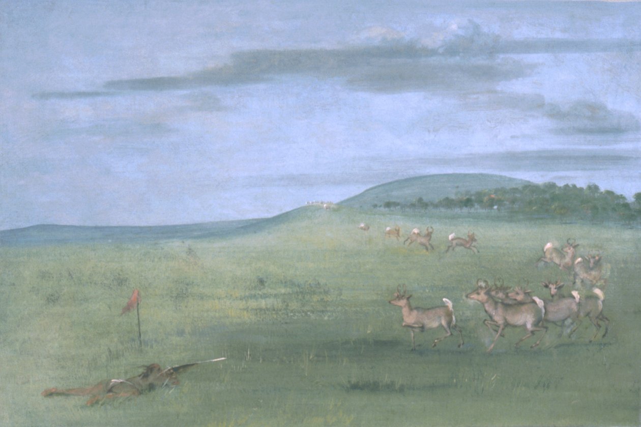 Antilop lövés, csalizott fel alkotó: George Catlin