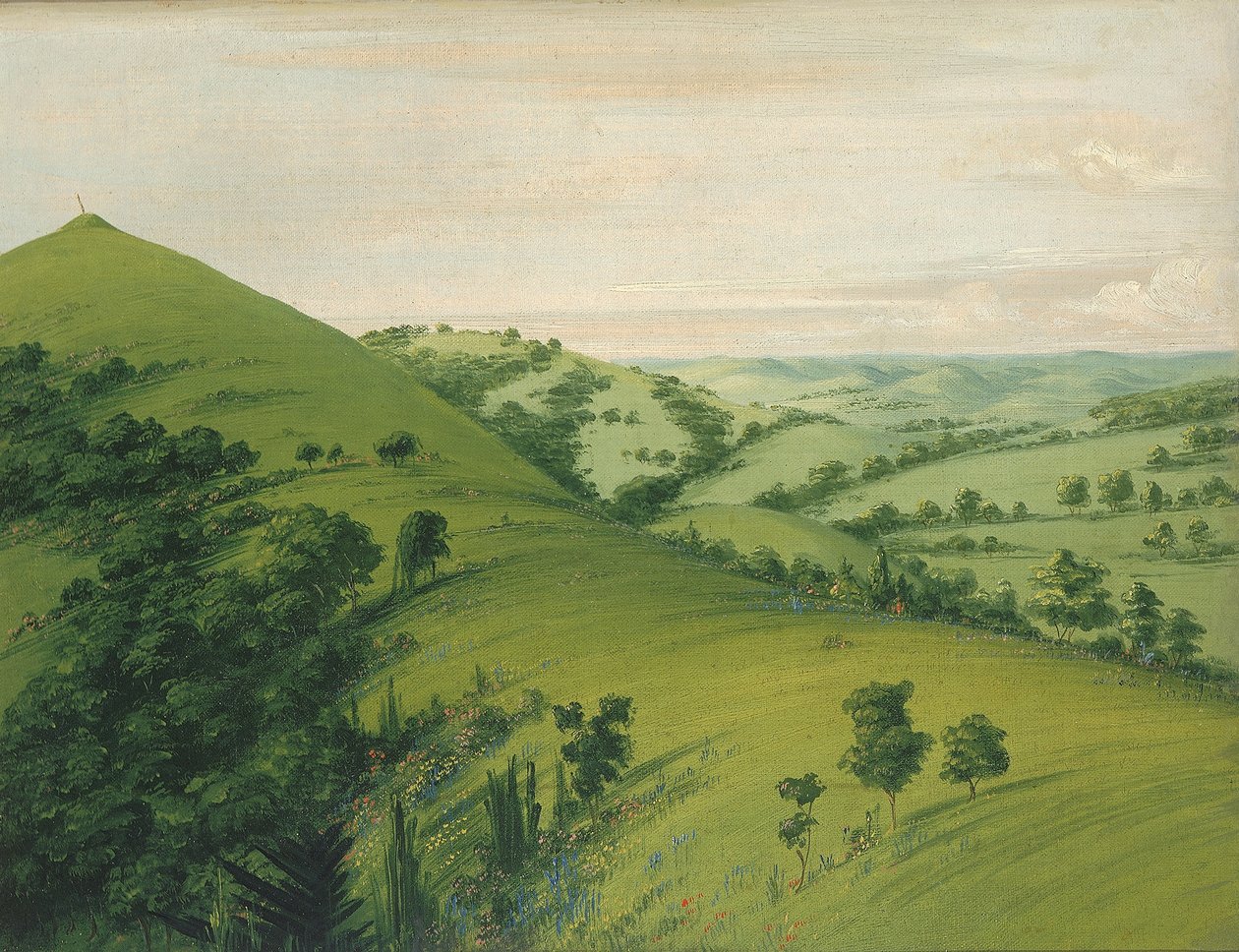 Feketerigó sírja, egy hátsó nézet, virágokkal zománcozott prérik alkotó: George Catlin