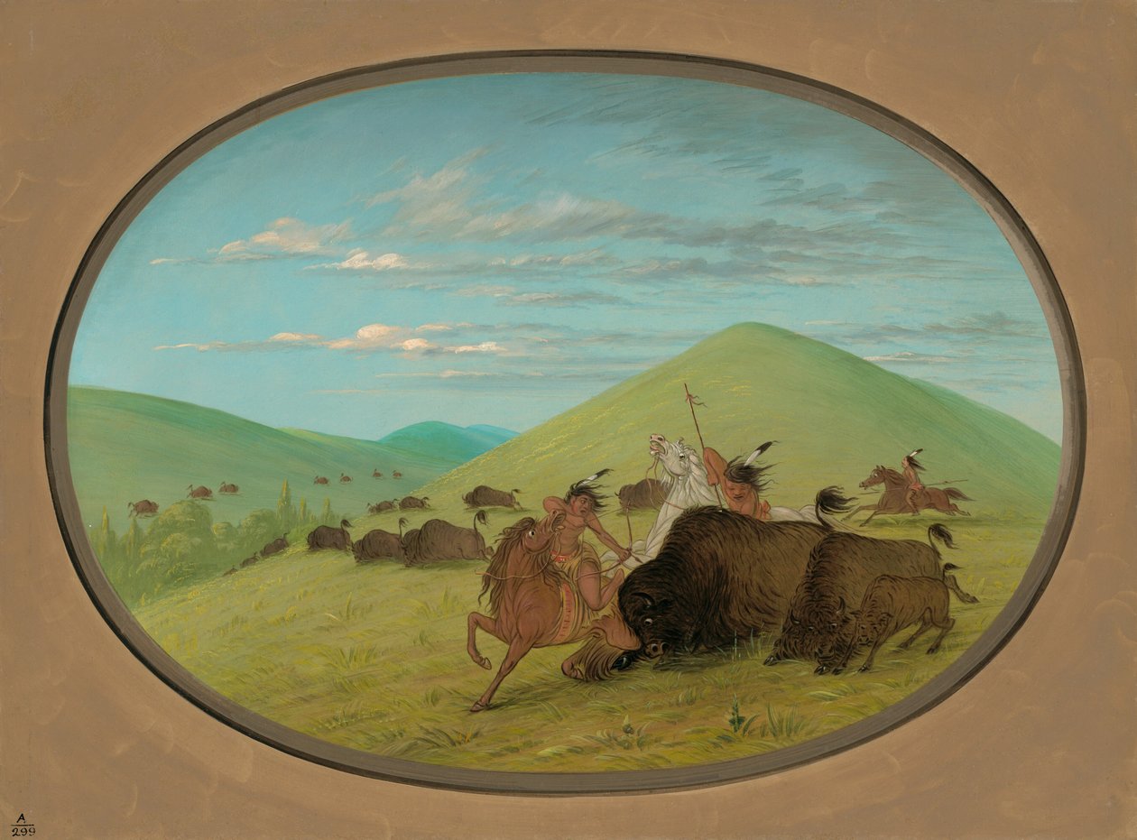 Buffalo Chase – A borjakat védő bikák, 18611869. alkotó: George Catlin