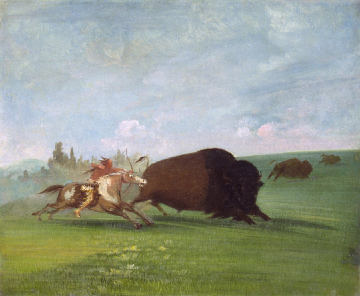 Buffalo Chase, egyetlen haláleset alkotó: George Catlin