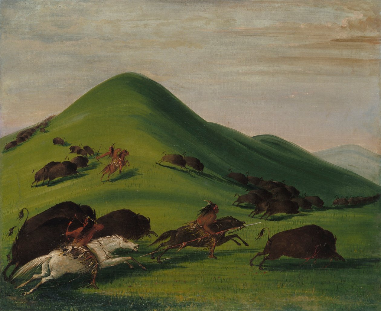 Buffalo Chase a Prairie Bluffs felett alkotó: George Catlin