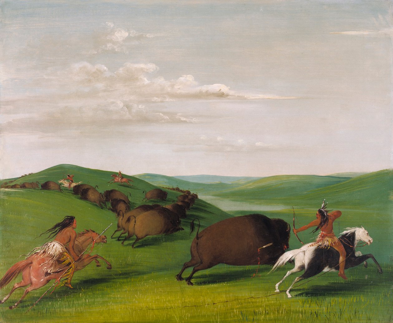 Bölényvadászat íjakkal és lándzsákkal alkotó: George Catlin