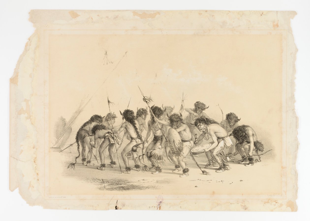 Bölény tánc No.8 alkotó: George Catlin