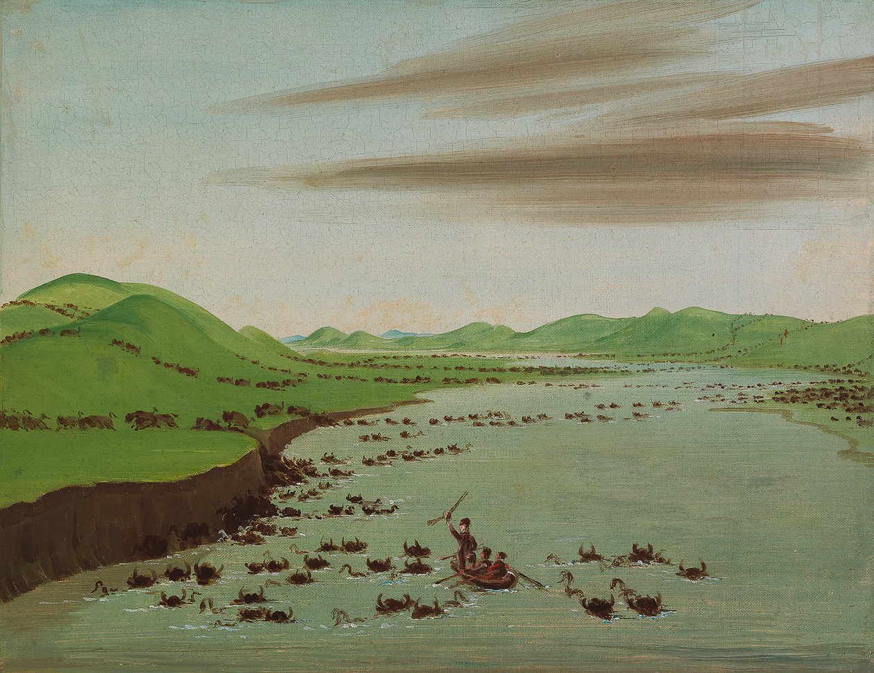 Bivalycsordák átkelnek Missouri felső részén, 1832. alkotó: George Catlin