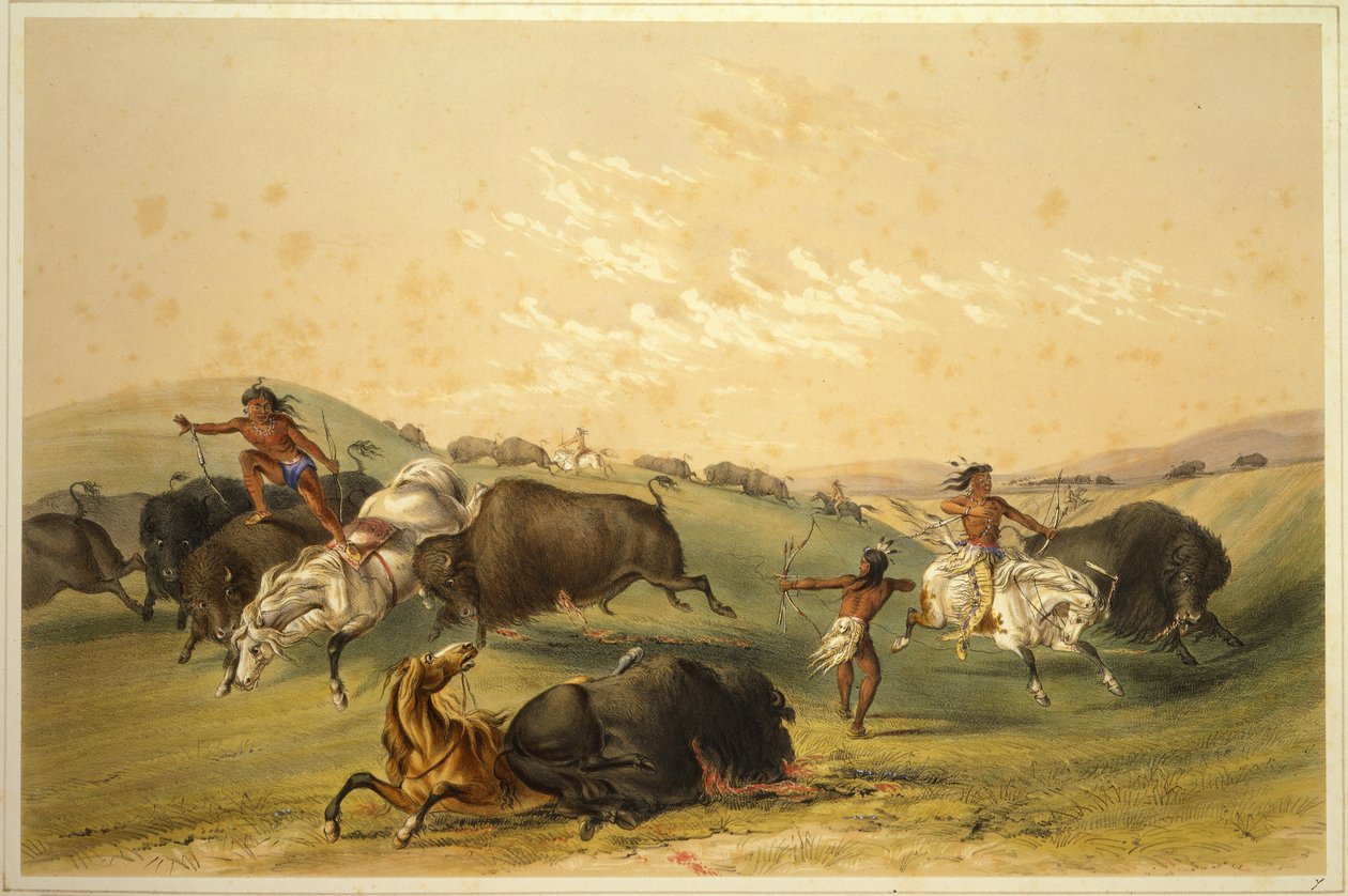Bölényvadászat: Számos csoport alkotó: George Catlin