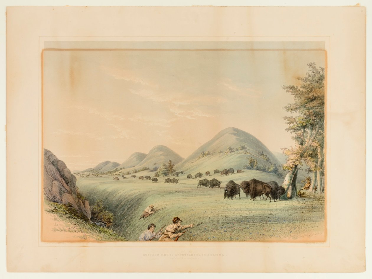 Bölényvadászat; Közeledés a szurdokban--no. 11. alkotó: George Catlin