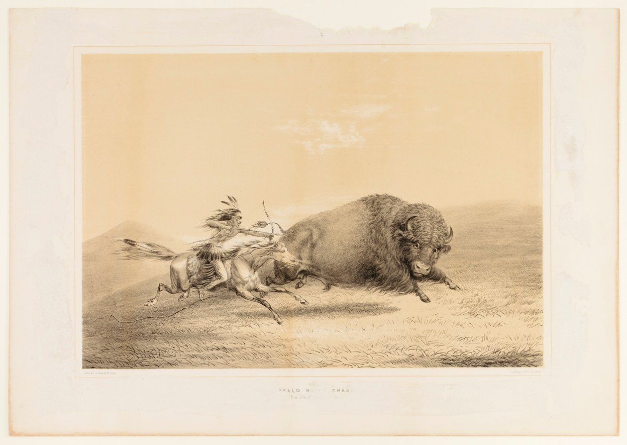 Bölényvadászat, üldözés... nem. 5 alkotó: George Catlin