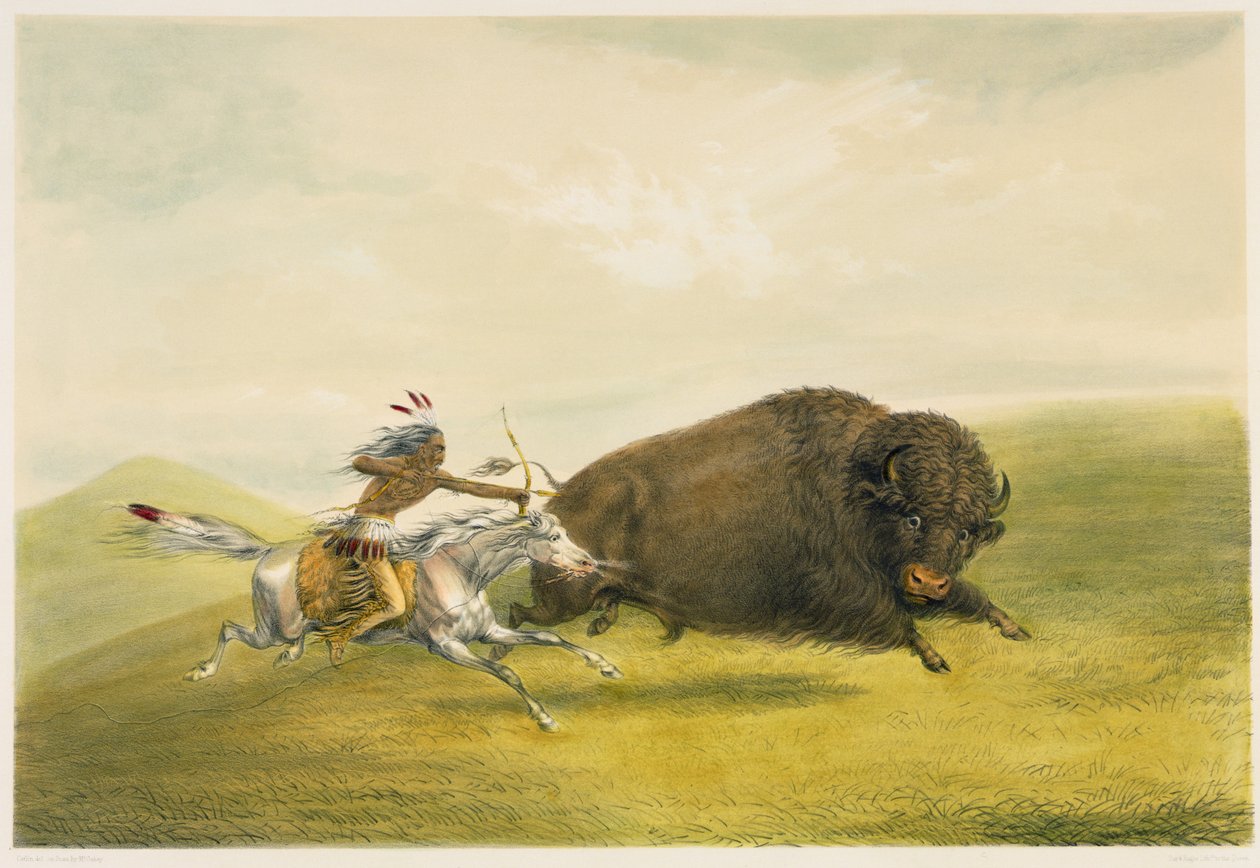 Buffalo Hunt Chase (színes litográfia) alkotó: George Catlin