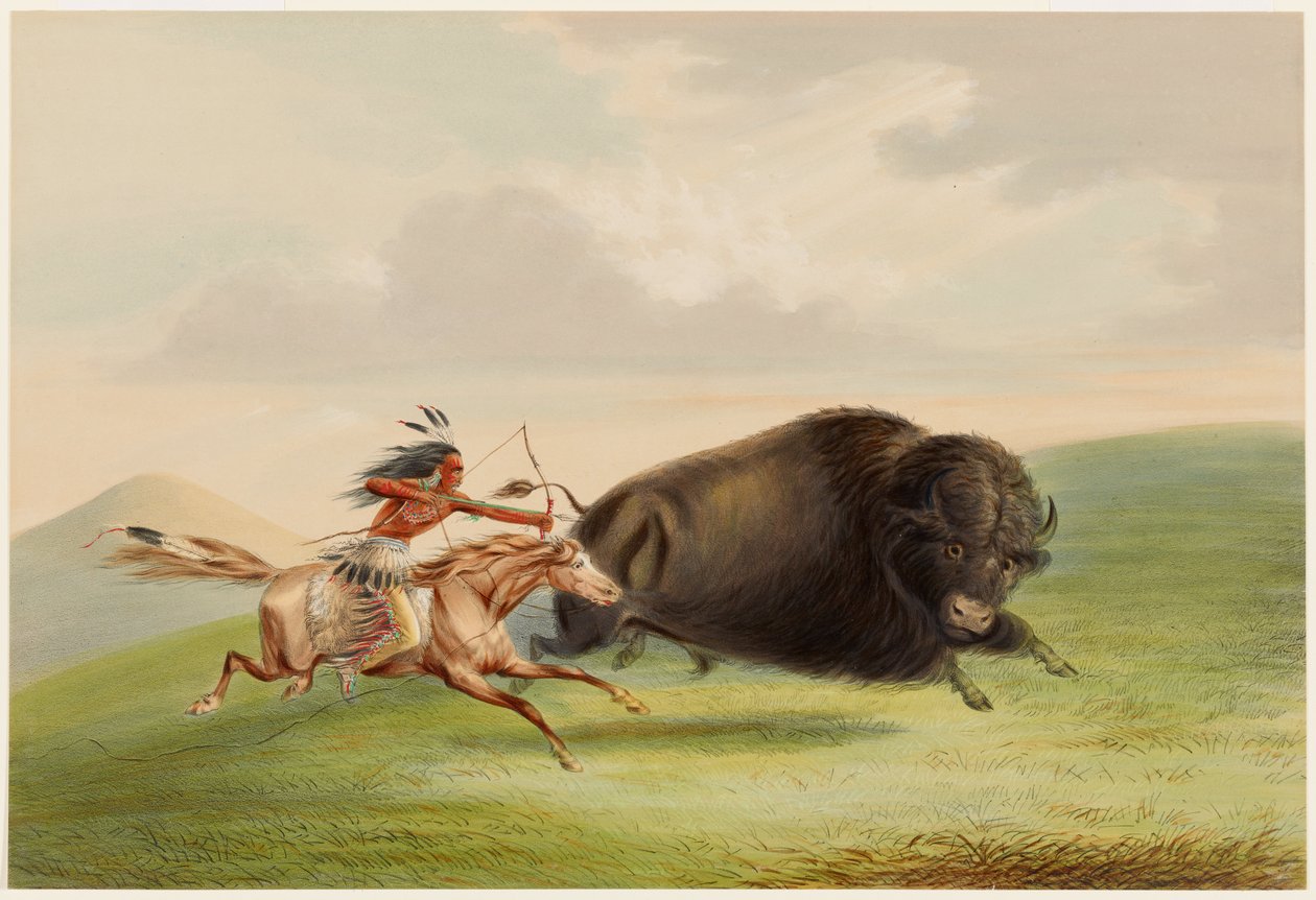Bivalyvadászat, üldözés alkotó: George Catlin
