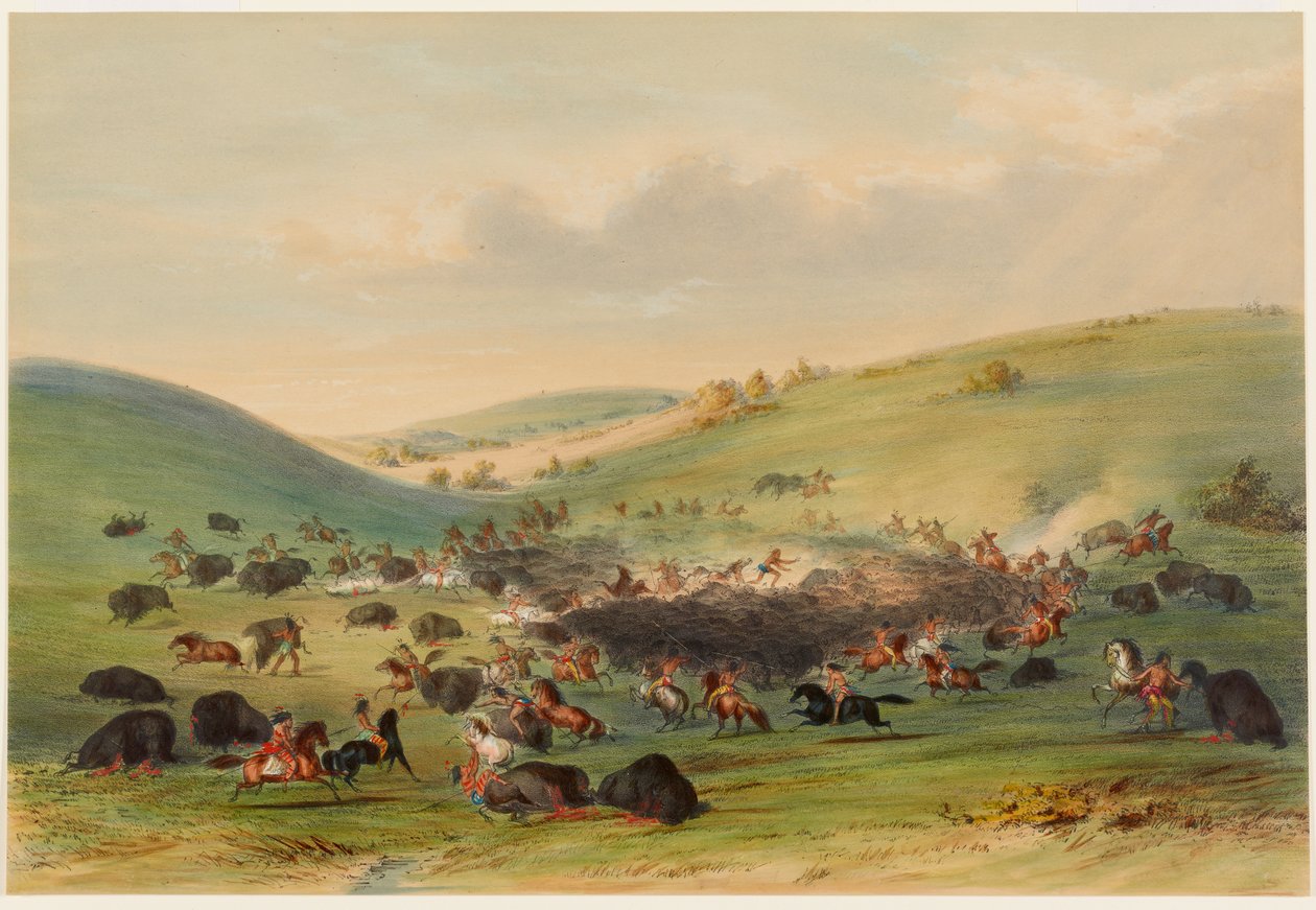 Bivalyvászat, körülzárás alkotó: George Catlin