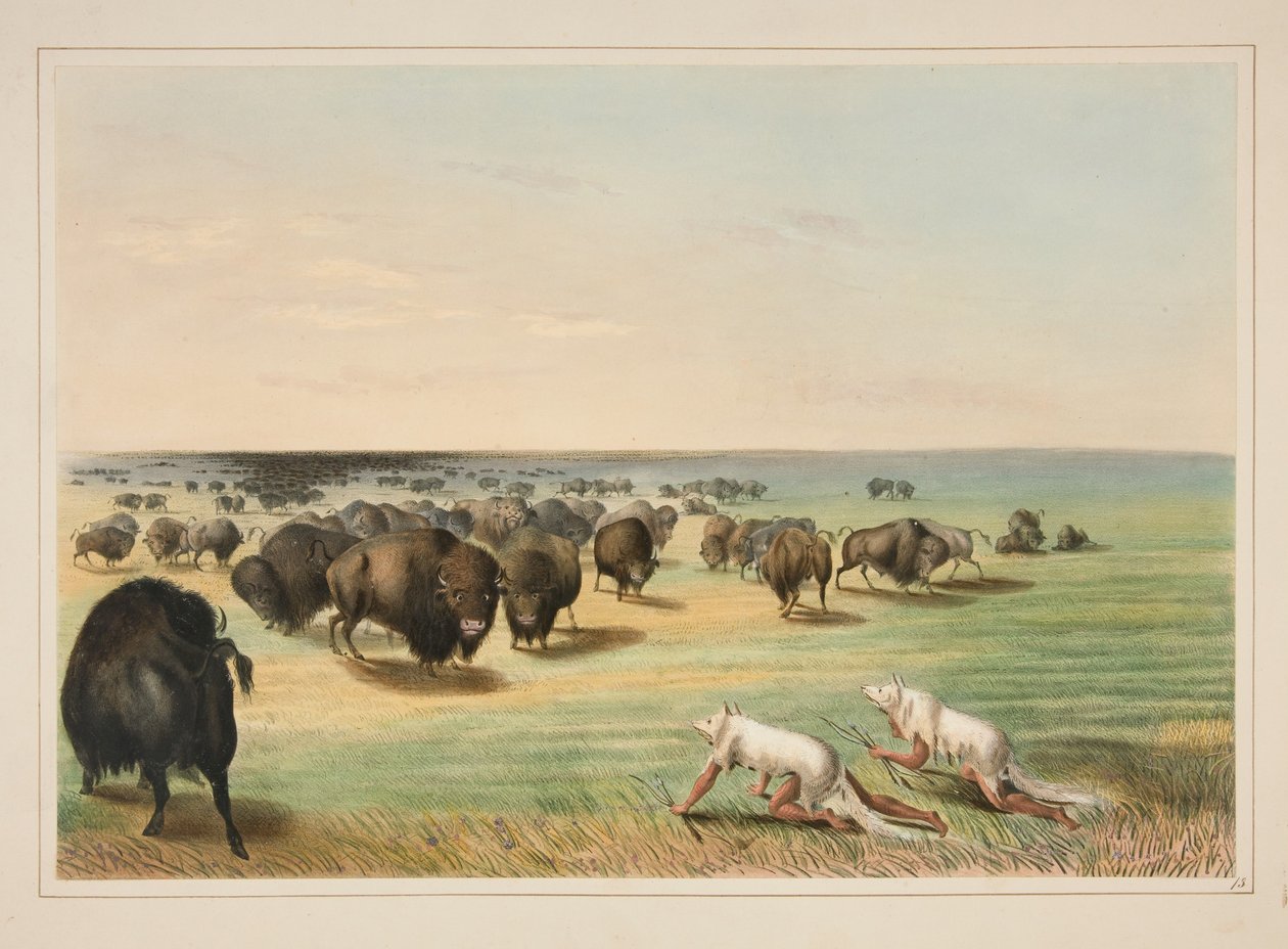 Bölényvadászat a fehér farkas bőre alatt, 13. tábla az Észak-amerikai indiánok portfólióból alkotó: George Catlin