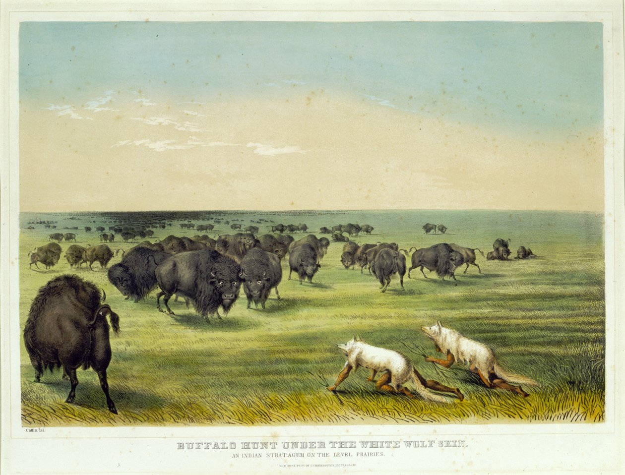 Bölényvadászat a fehér farkas bőre alatt alkotó: George Catlin