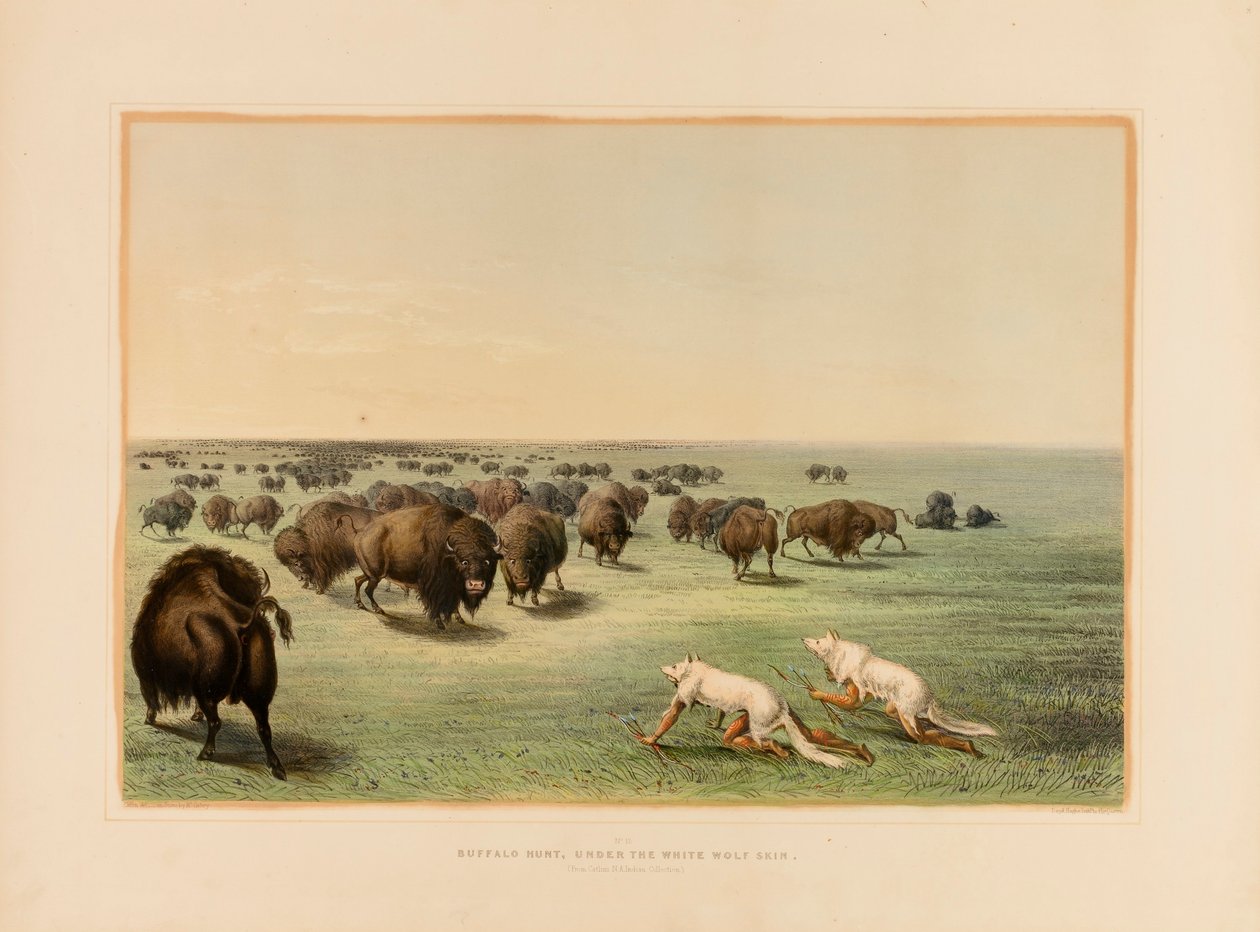 Bölényvadászat a fehér farkasbőr alatt - 13. sz. alkotó: George Catlin