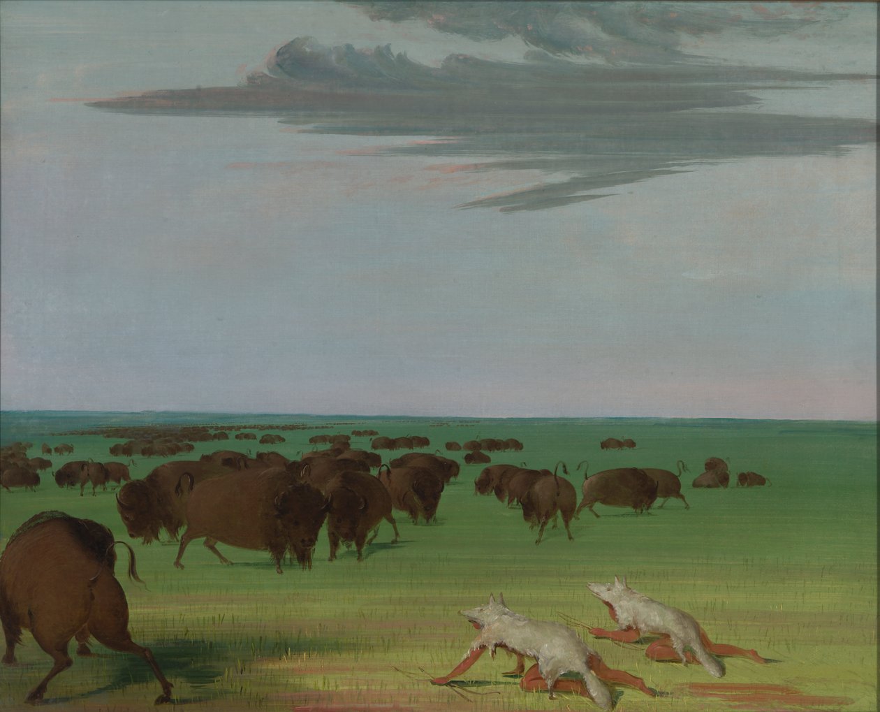 Bivalyvadászat a farkasbőr maszkja alatt, 1832-1833. alkotó: George Catlin