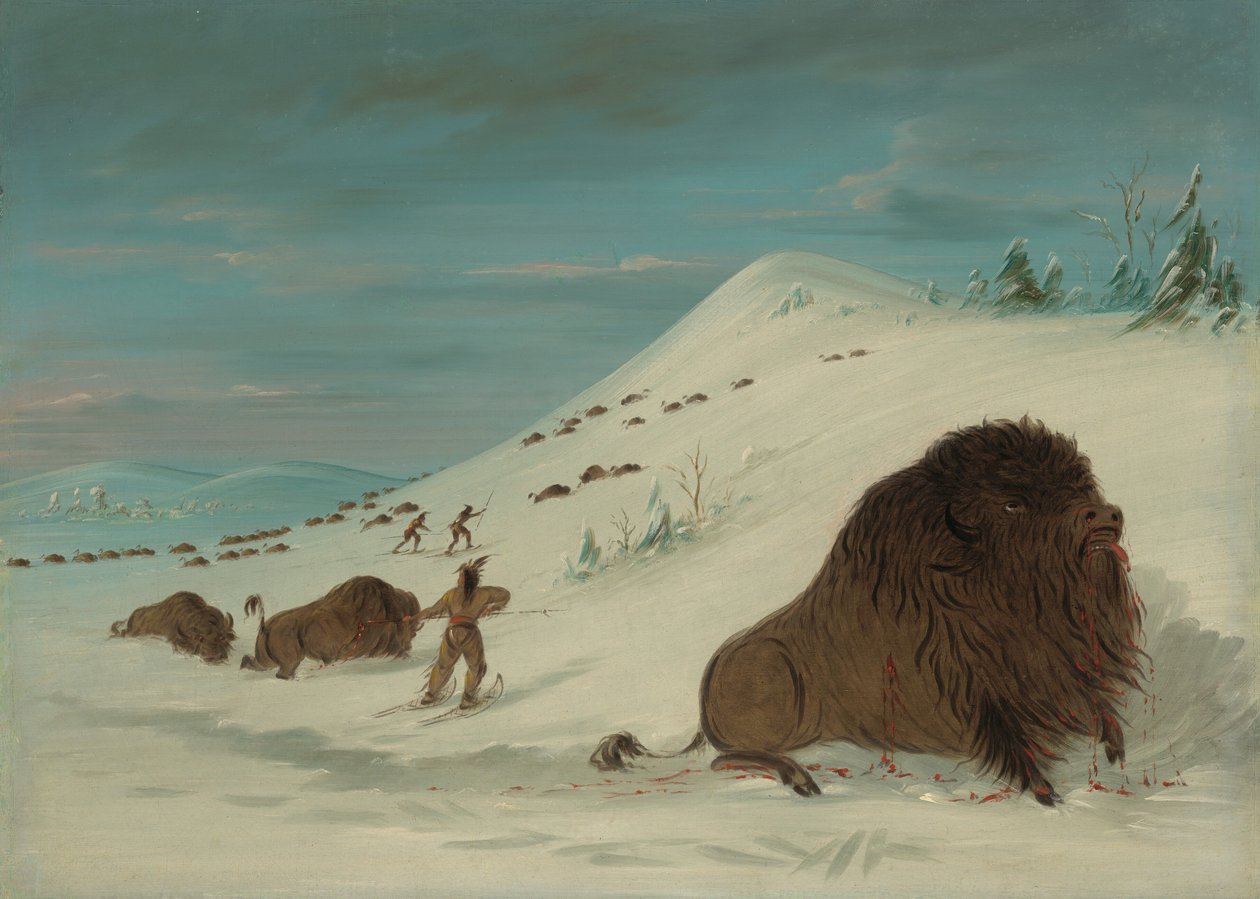 Buffalo Lancing a hószállingózásban – Sioux, 18611869. alkotó: George Catlin