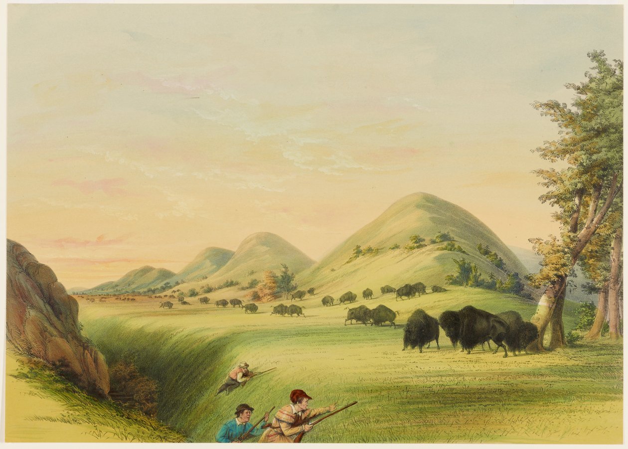Bivalyvadászat, közeledés egy szurdokban alkotó: George Catlin