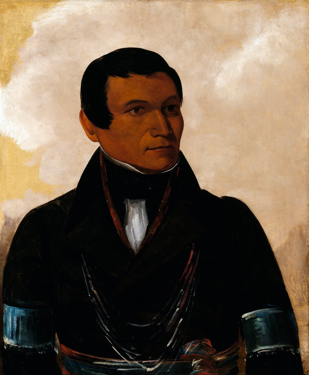Cú-sick, a főnök fia alkotó: George Catlin