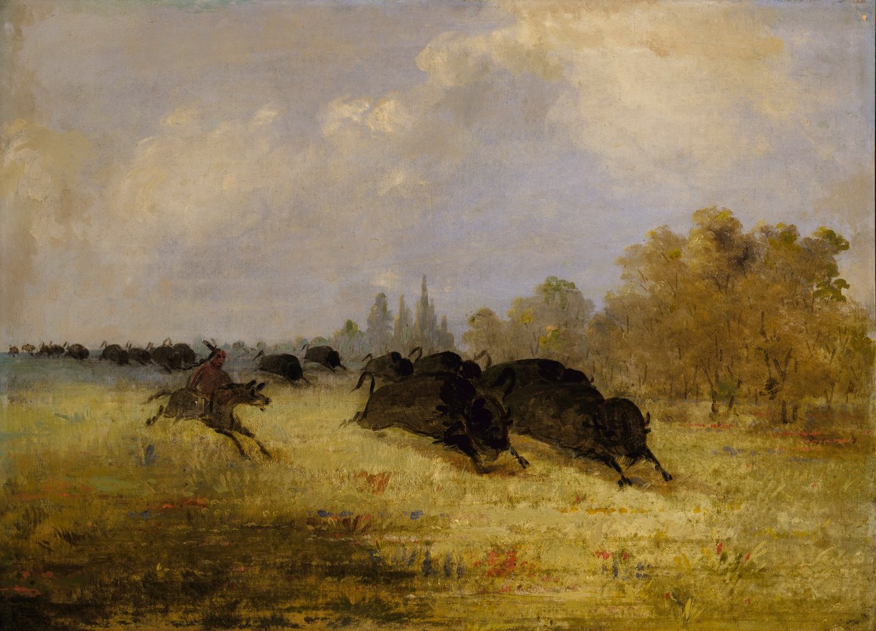Caddo Indians Chasing Buffalo, Cross Timbers, Texas alkotó: George Catlin