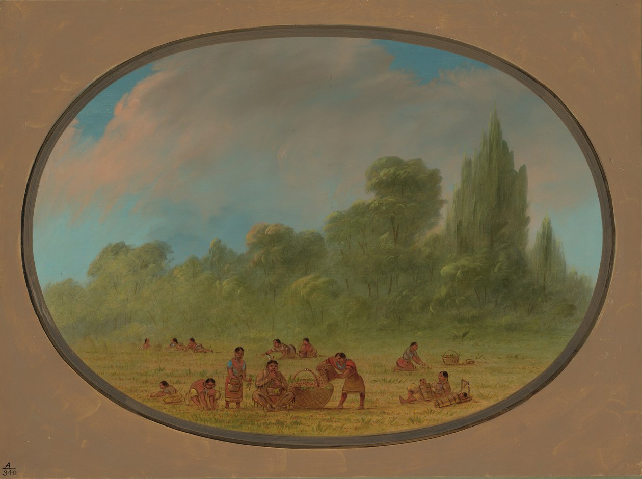 Caddo indiánok vadepret gyűjtenek, 18611869. alkotó: George Catlin