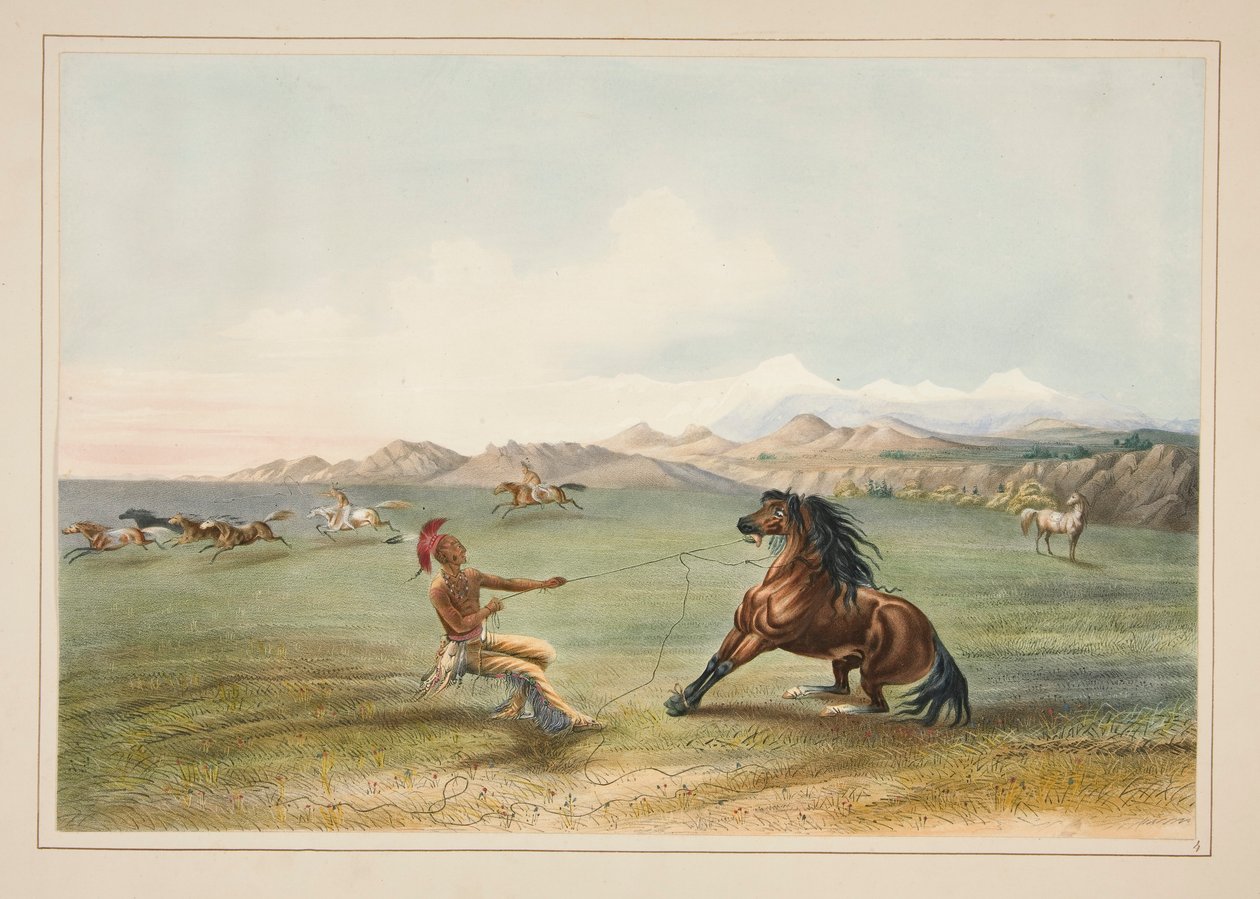 A vadló elkapása, pl. 4 az észak-amerikai indiánok portfóliójából alkotó: George Catlin