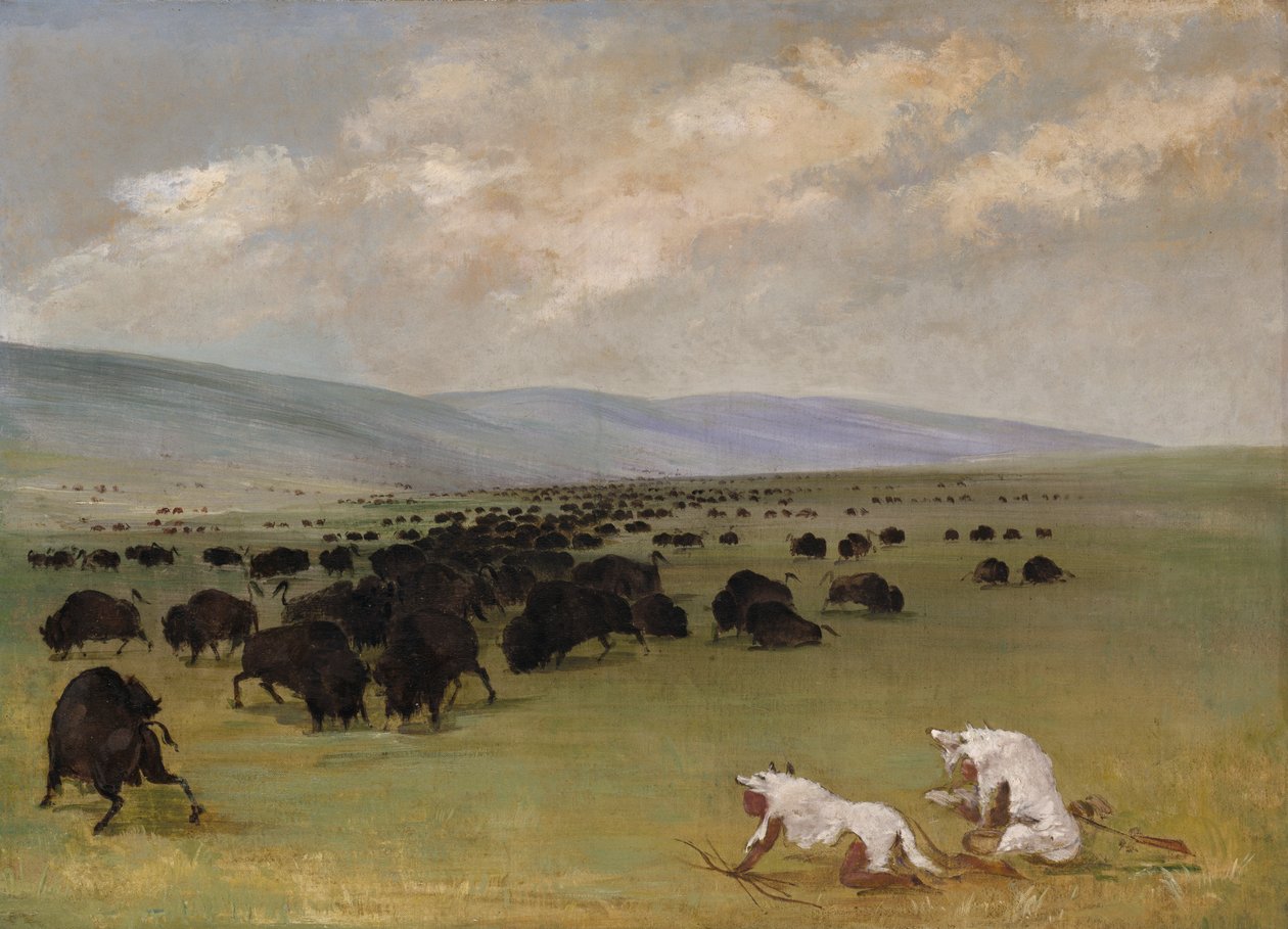 Catlin és indián útmutatója fehér farkasbőrök alatt közeledik a bivalyhoz, 1846-1848. alkotó: George Catlin