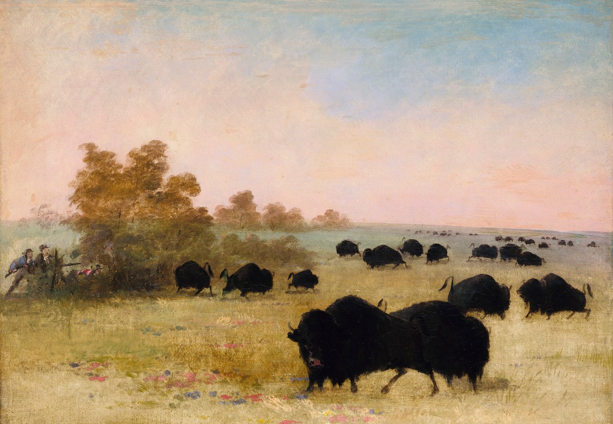 Catlin és a párt bölényt cserkészik, Felső-Missouri alkotó: George Catlin