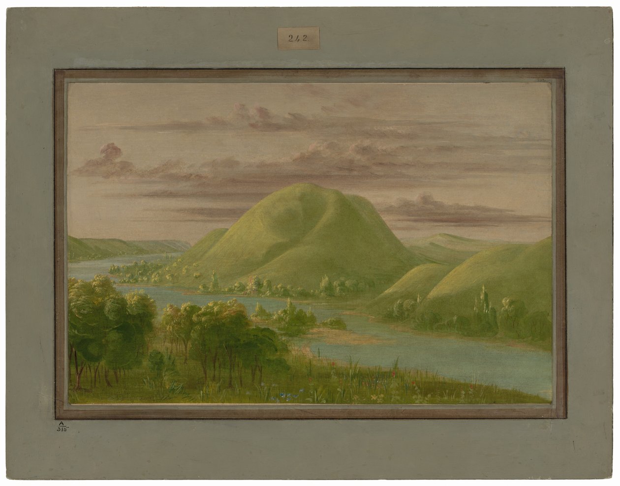 Kíváncsi Grassy Bluffs, St. Peter
