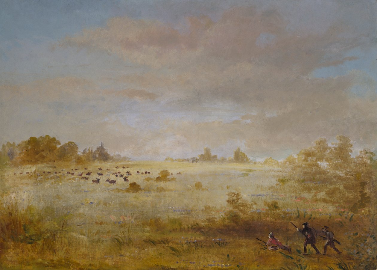 Őszi prérin legelésző jávorszarvas, 1846-1848. alkotó: George Catlin