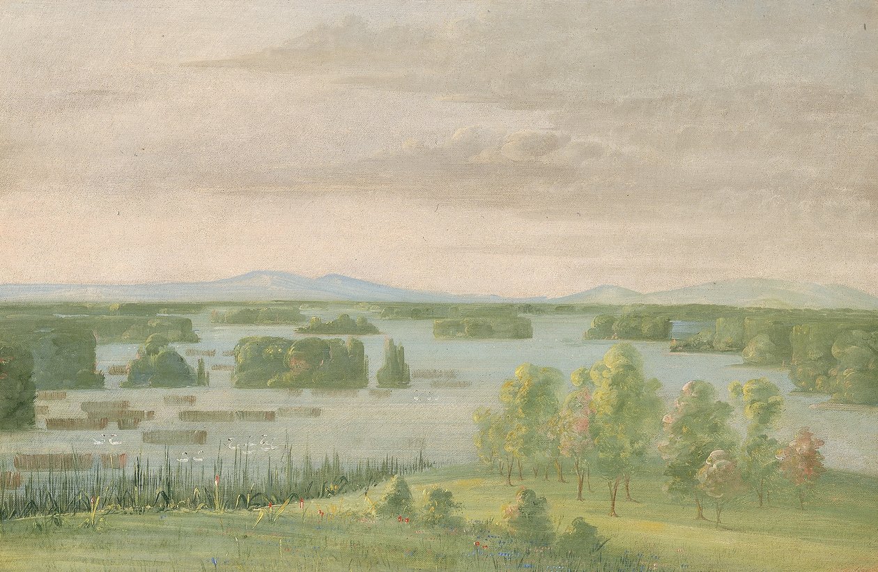 Lac du Cygne (Hattyúk tava), a Coteau des Prairies közelében alkotó: George Catlin