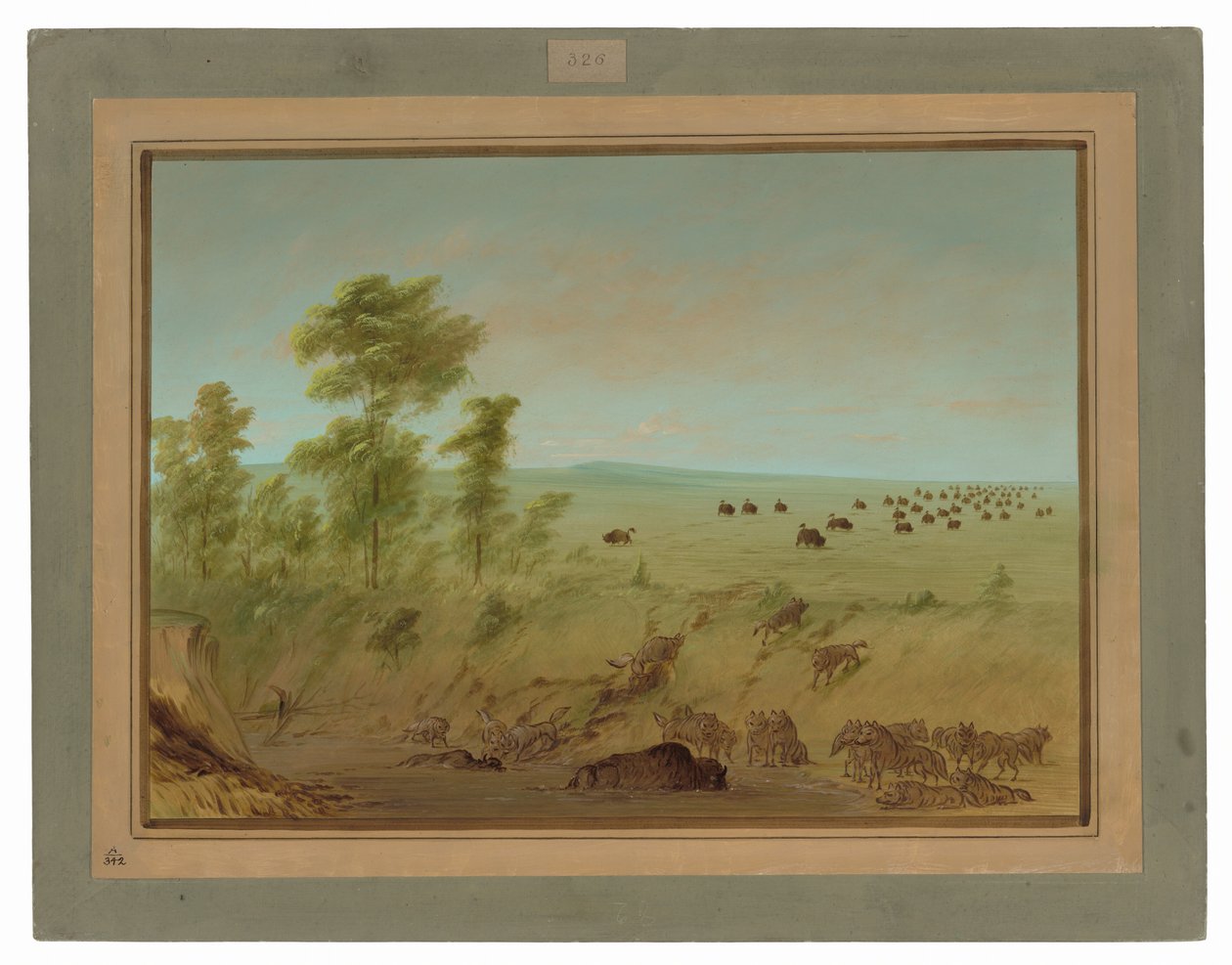 Mired Buffalo and Wolves alkotó: George Catlin