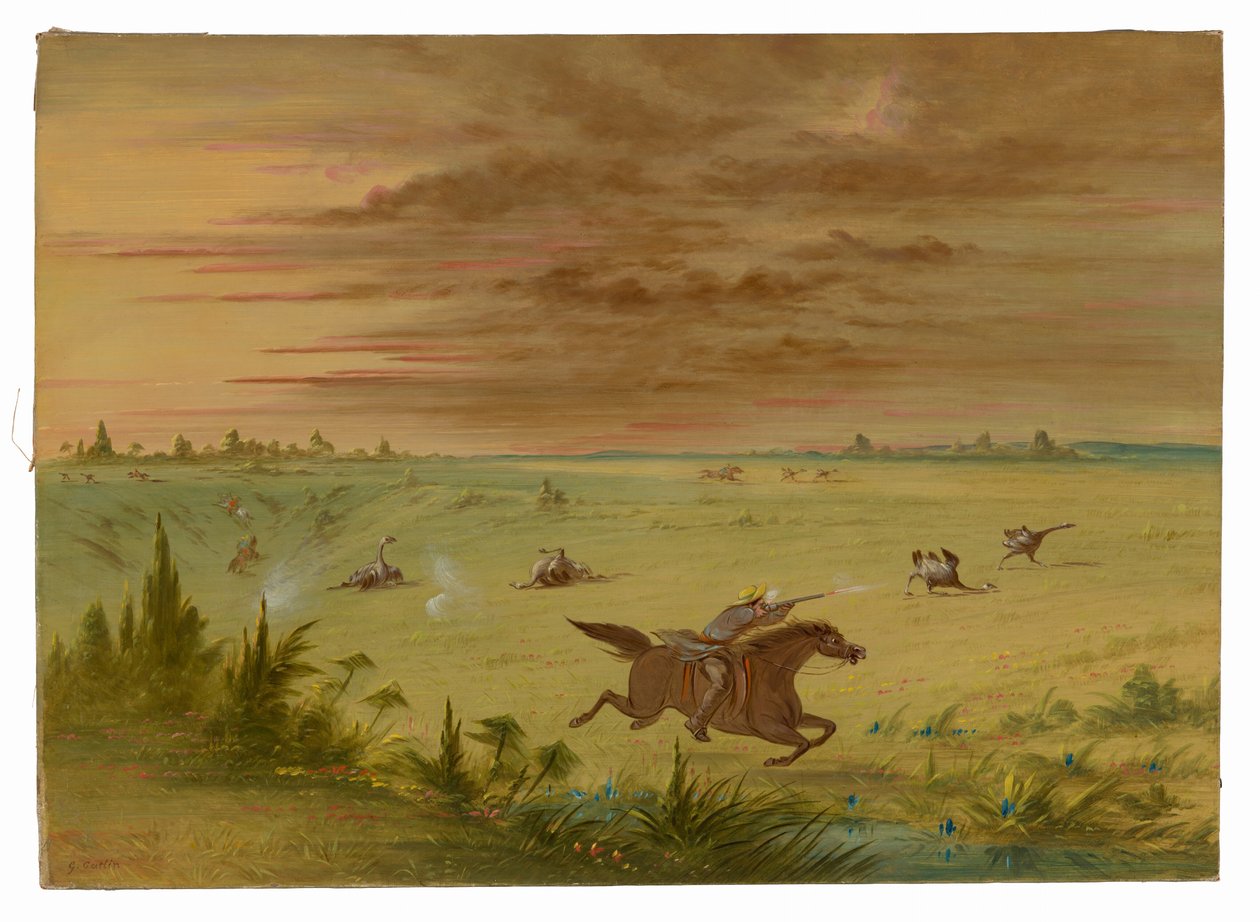 Strucchajsza, Buenos Aires – Auca alkotó: George Catlin