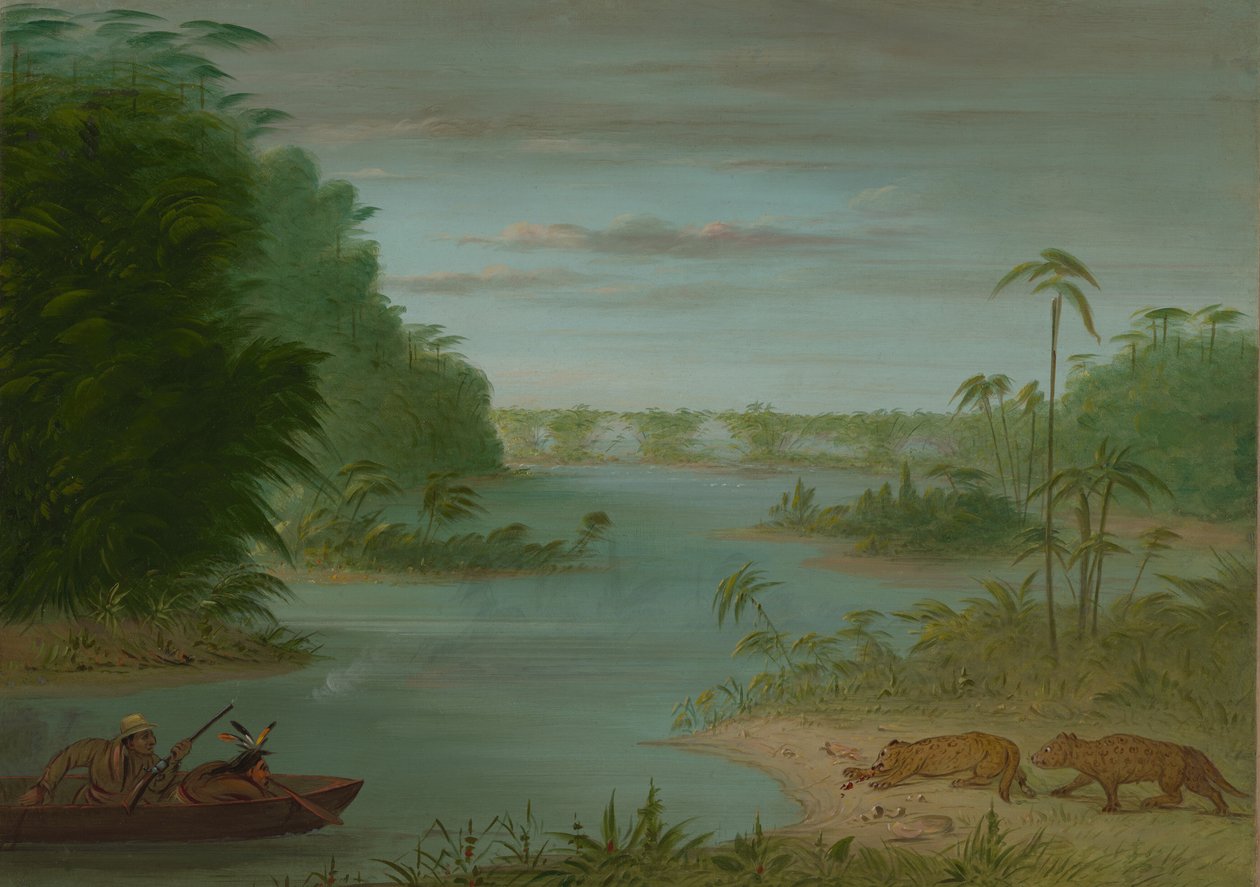 Pont de Palmiers és Tigrislövészet, 18541869. alkotó: George Catlin