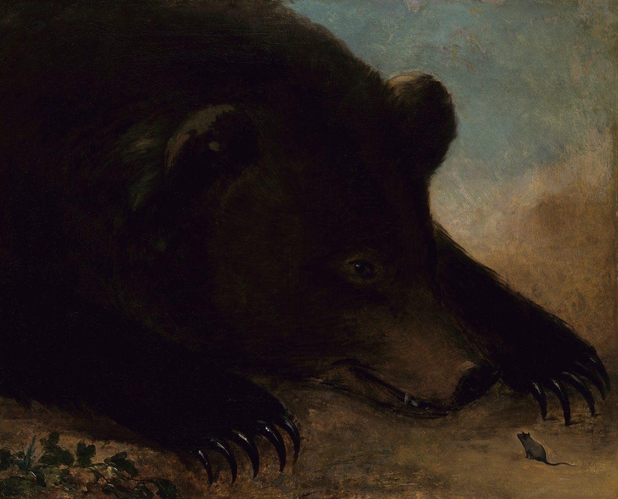 Portrék egy grizzly medve és egér, életnagyságban alkotó: George Catlin