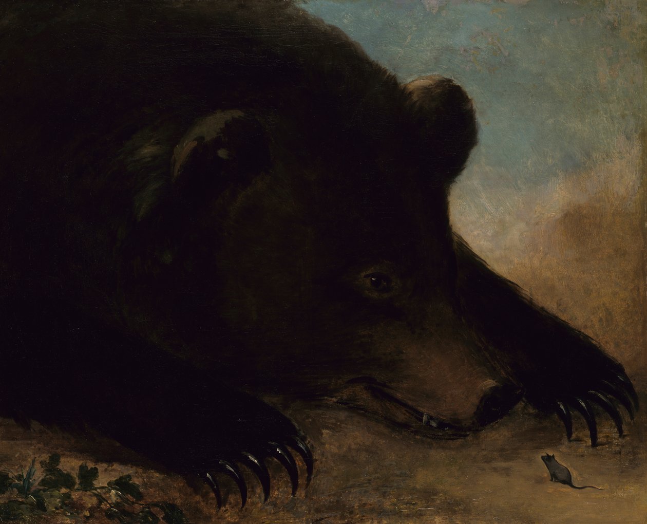 Grizzly medve és egér portréi, életnagyság, 1846-1848. alkotó: George Catlin