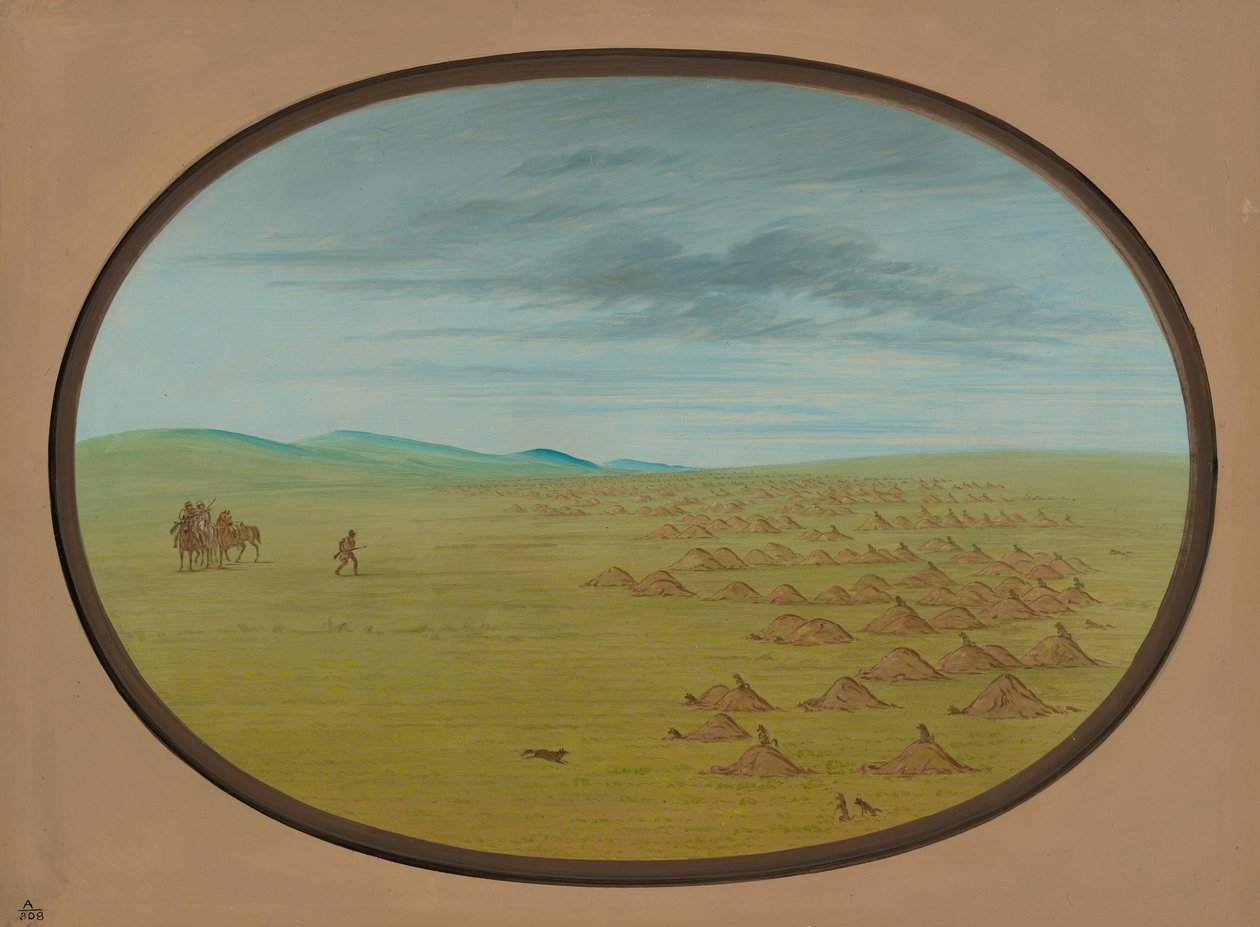 Prairie Dog Village, 18611869. alkotó: George Catlin