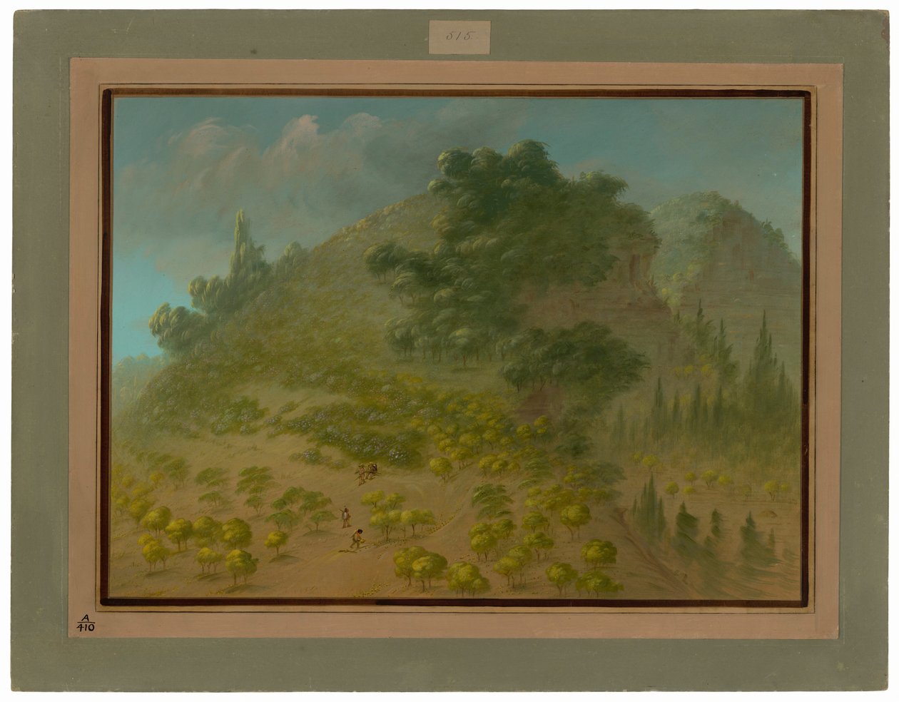 Rhododendron hegy alkotó: George Catlin