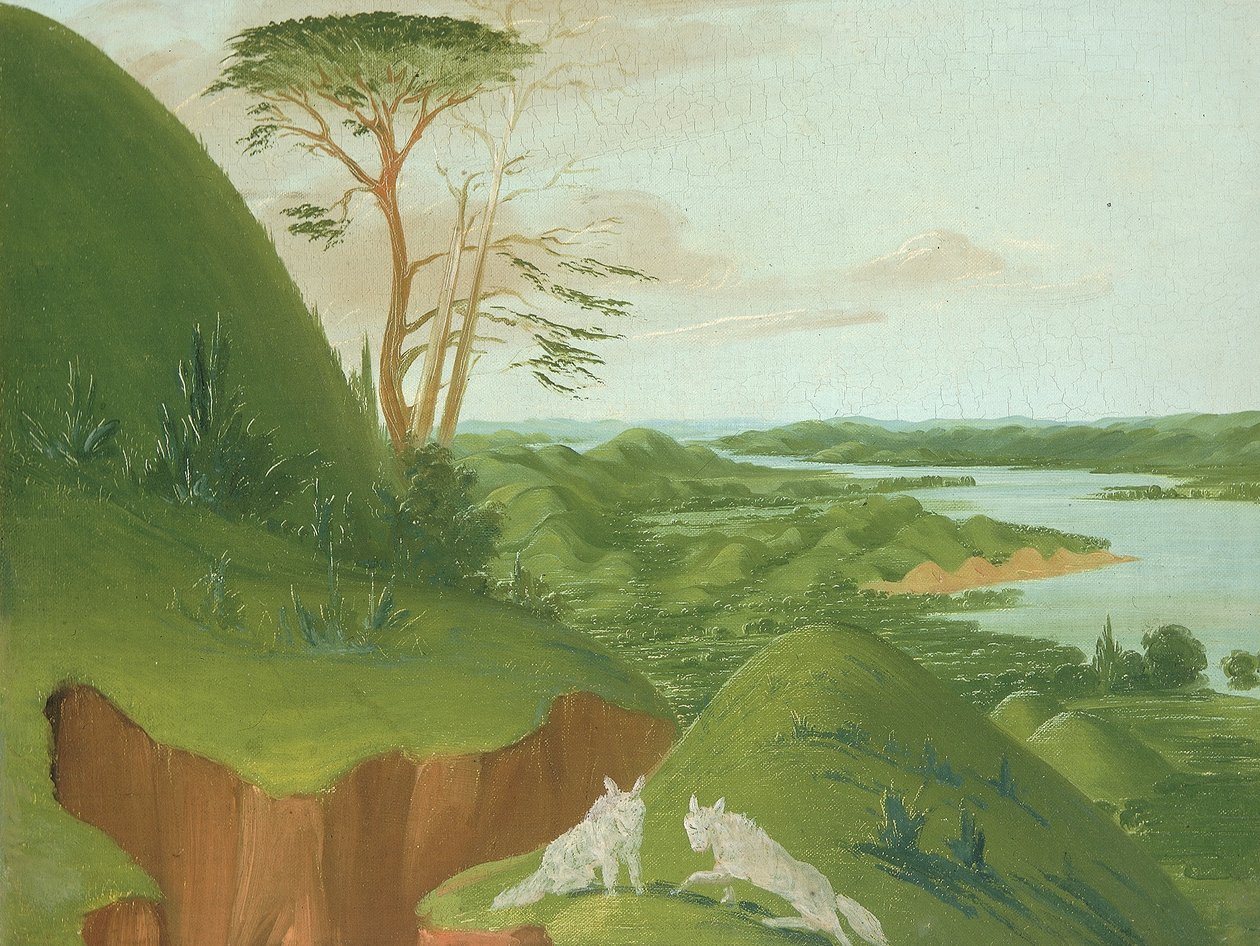 Folyóparti sziklák fehér farkasokkal az előtérben, a Missouri felső folyása alkotó: George Catlin