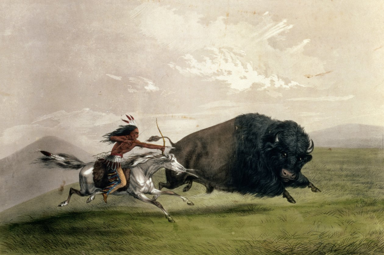 The Buffalo Chase "Singling Out", pub. írta Currier és Ives alkotó: George Catlin