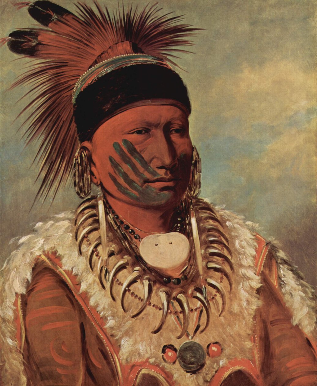 Fehér Felhő, az iowák főnöke alkotó: George Catlin
