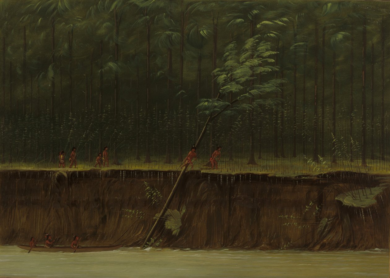 Kilátás az Alsó-Mississippire, 18611869. alkotó: George Catlin