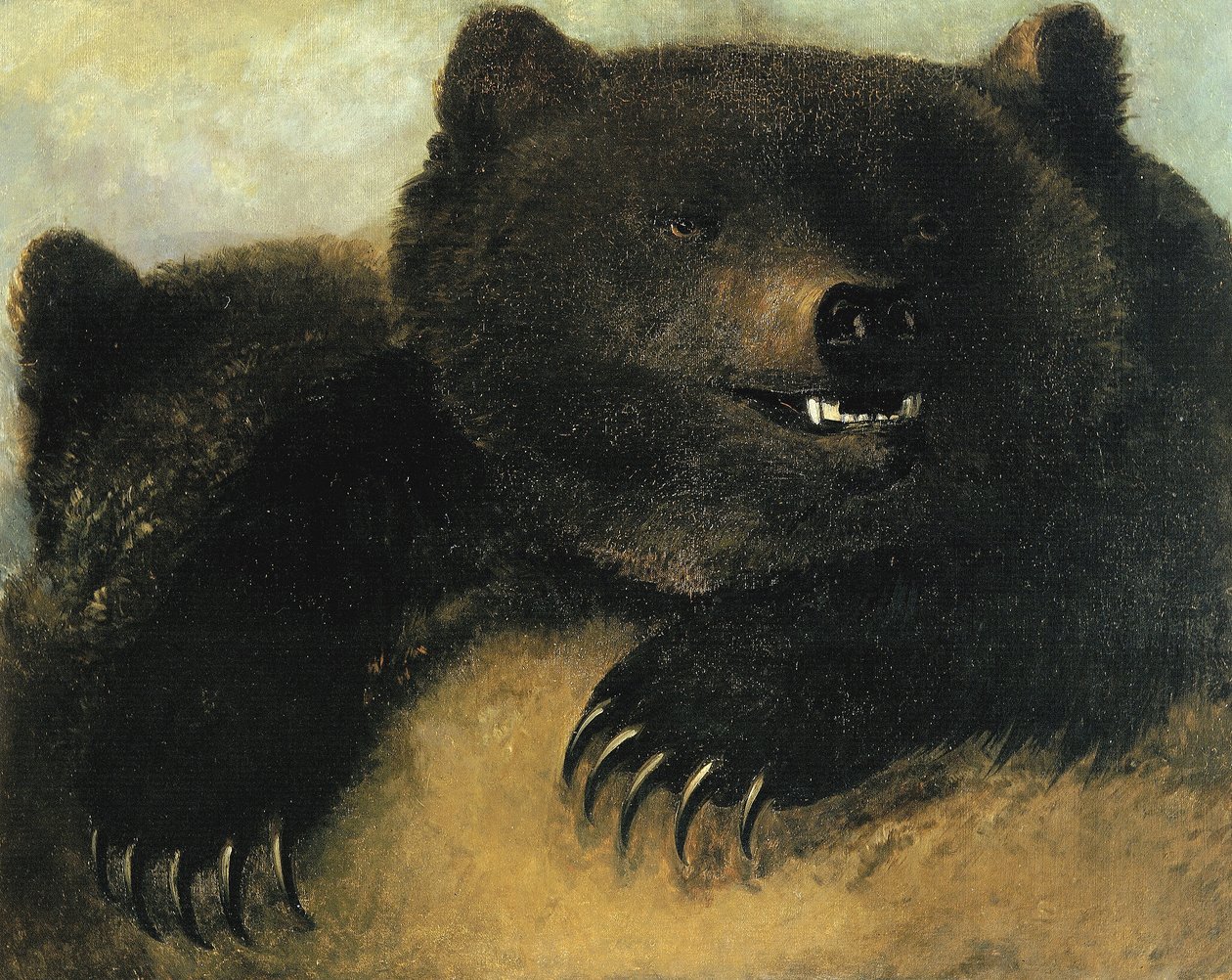 A grizzly medve fegyverei és fiziognómiája alkotó: George Catlin
